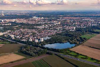 Hinterm Holschen Weiher im Ortsteil Gartenstadt in Ludwigshafen am Rhein im Bundesland Rheinland-Pfalz, Deutschland