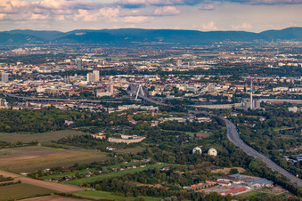 Hochstraße im Ortsteil Süd in Ludwigshafen am Rhein im Bundesland Rheinland-Pfalz, Deutschland