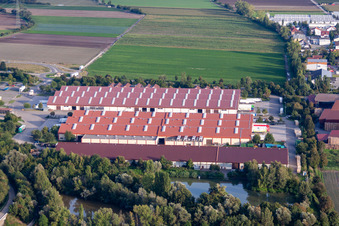 Pfalzmarkt für Obst und Gemüse in Mutterstadt im Bundesland Rheinland-Pfalz, Deutschland