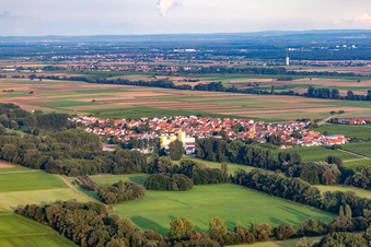 Freimersheim im Bundesland Rheinland-Pfalz, Deutschland von oben