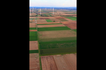 Windpark Offenbach in Offenbach an der Queich im Bundesland Rheinland-Pfalz, Deutschland