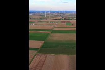 Luftbild von Windpark Offenbach in Offenbach an der Queich im Bundesland Rheinland-Pfalz, Deutschland