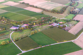 Wagnerranch in Herxheim bei Landau im Bundesland Rheinland-Pfalz, Deutschland