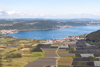 Ortskern am Uferbereich des Bodensee im Ortsteil Bodman in Bodman-Ludwigshafen im Bundesland Baden-Württemberg, Deutschland von oben