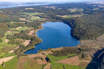 Luftbild von Mindelsee im Ortsteil Markelfingen in Radolfzell am Bodensee im Bundesland Baden-Württemberg, Deutschland