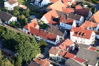Herrengasse in Minfeld im Bundesland Rheinland-Pfalz, Deutschland von oben