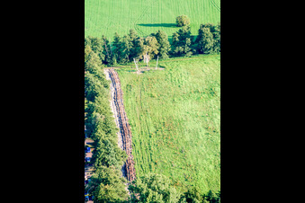 Fun-Forest Riesenseilrutsche am Waldschwimmbad in Kandel im Bundesland Rheinland-Pfalz, Deutschland