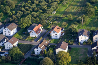 Runzweg im Ortsteil Urloffen in Appenweier im Bundesland Baden-Württemberg, Deutschland aus der Luft
