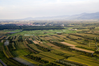 Urloffen, Golfplatz von Süden in Appenweier im Bundesland Baden-Württemberg, Deutschland