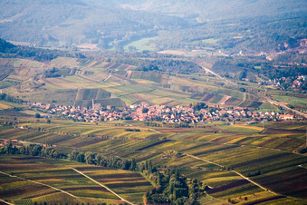 Felder einer Weinbergs- Landschaft der Winzer- Gebiete in Birkweiler im Bundesland Rheinland-Pfalz, Deutschland