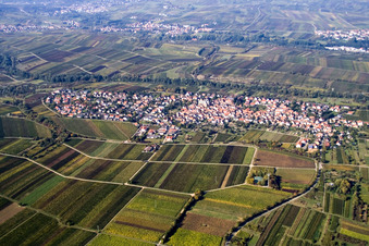 Ortsansicht der Straßen und Häuser der Wohngebiete im Ortsteil Arzheim in Landau in der Pfalz im Bundesland Rheinland-Pfalz, Deutschland von oben