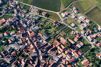 Am Daschberg in Birkweiler im Bundesland Rheinland-Pfalz, Deutschland