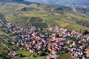 Dorf - Ansicht am Rande von Weinbergen in Birkweiler im Bundesland Rheinland-Pfalz, Deutschland