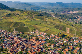 Weinlage Kastanienbusch "Keschdebusch" in Birkweiler im Bundesland Rheinland-Pfalz, Deutschland aus der Luft