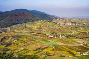Geilweilerhof / JKI Institut in Siebeldingen im Bundesland Rheinland-Pfalz, Deutschland
