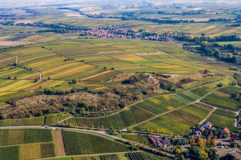 Naturschutzgebiet Kleine Kalmit in Ilbesheim bei Landau im Bundesland Rheinland-Pfalz, Deutschland