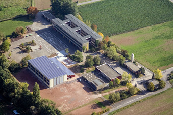 Schulgelände und Gebäudekomplex der Klingbachschule im Ortsteil Ingenheim in Billigheim-Ingenheim im Bundesland Rheinland-Pfalz, Deutschland