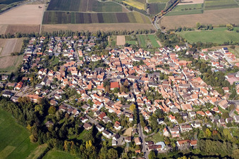 Billigheim von Süden in Billigheim-Ingenheim im Bundesland Rheinland-Pfalz, Deutschland