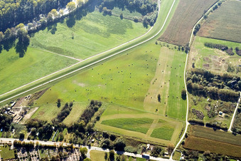 Rheindamm im Ortsteil Maximiliansau in Wörth am Rhein im Bundesland Rheinland-Pfalz, Deutschland