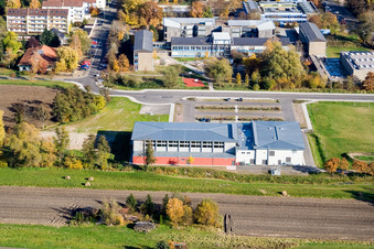 Bienwaldhalle Kandel im Bundesland Rheinland-Pfalz, Deutschland aus der Vogelperspektive