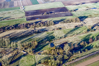 Biotop Billigheimer Bruch im Ortsteil Mühlhofen in Billigheim-Ingenheim im Bundesland Rheinland-Pfalz, Deutschland