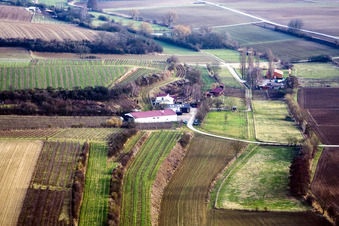 Herxheim, Wagnerranch von Norden in Herxheim bei Landau im Bundesland Rheinland-Pfalz, Deutschland