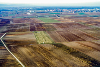 Windenstartplatz Nix wie Nuff e.V im Ortsteil Mörlheim in Landau in der Pfalz im Bundesland Rheinland-Pfalz, Deutschland