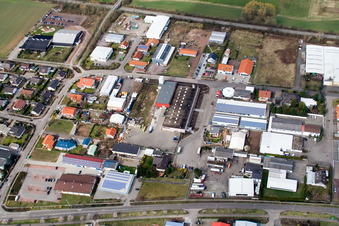 Im Schlangengarten in Offenbach an der Queich im Bundesland Rheinland-Pfalz, Deutschland