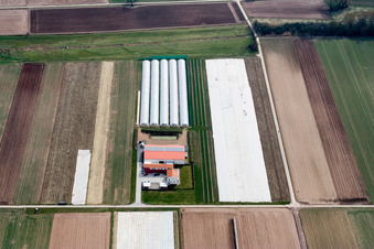 Aussiedlerhof Steegmüller in Offenbach an der Queich im Bundesland Rheinland-Pfalz, Deutschland