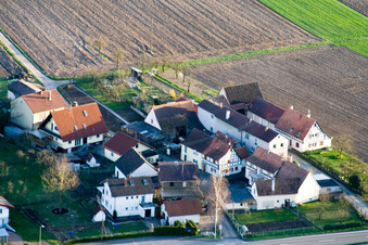 Welschhof in Freckenfeld im Bundesland Rheinland-Pfalz, Deutschland von oben gesehen