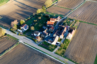 Drohnenaufname von Welschhof in Freckenfeld im Bundesland Rheinland-Pfalz, Deutschland