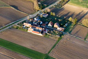 Welschhof in Freckenfeld im Bundesland Rheinland-Pfalz, Deutschland von einer Drohne aus