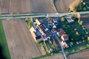 Schrägluftbild von Welschhof in Freckenfeld im Bundesland Rheinland-Pfalz, Deutschland