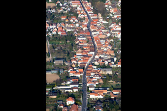 Schrägluftbild von Altspeyerer Straße in Lingenfeld im Bundesland Rheinland-Pfalz, Deutschland