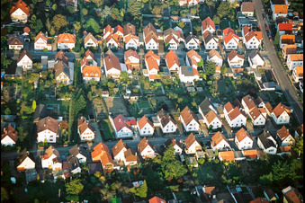 Birkenstraße Waldstr in Kandel im Bundesland Rheinland-Pfalz, Deutschland
