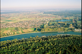 Rhein gegenüber Speyer in Altlußheim im Bundesland Baden-Württemberg, Deutschland