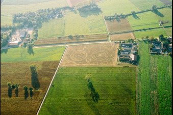 Abgeerntetes Mais-Labyrinth auf einem Feld in Hockenheim im Bundesland Baden-Württemberg, Deutschland