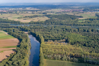 Altrhein / Michelsbach im Ortsteil Sondernheim in Germersheim im Bundesland Rheinland-Pfalz, Deutschland