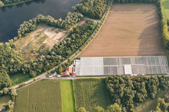 Gewächshäuser am Brandgraben im Ortsteil Sondernheim in Germersheim im Bundesland Rheinland-Pfalz, Deutschland