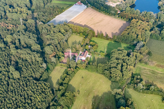 Luftbild von Aussiedlerhof am Waldrand in Bellheim im Bundesland Rheinland-Pfalz, Deutschland