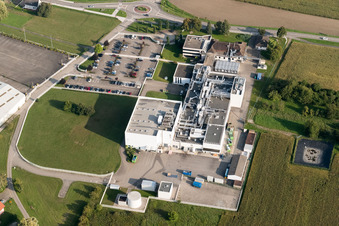 Drohnenaufname von Beinheim im Bundesland Bas-Rhin, Frankreich