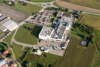 Drohnenbild von Beinheim im Bundesland Bas-Rhin, Frankreich