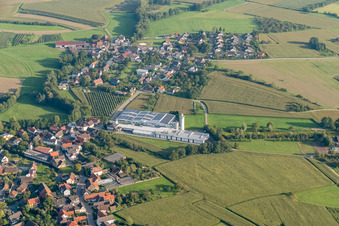 Luftaufnahme von Ruhsi GmbH & Co. KG im Ortsteil Rheinbischofsheim in Rheinau im Bundesland Baden-Württemberg, Deutschland