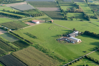 Luftbild von Ortsteil Erlach in Renchen im Bundesland Baden-Württemberg, Deutschland