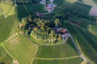 Felder einer Weinbergs- Landschaft der Winzer- Gebiete in Oberkirch im Bundesland Baden-Württemberg, Deutschland