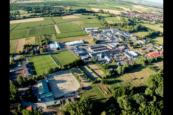 Ortsteil Billigheim in Billigheim-Ingenheim im Bundesland Rheinland-Pfalz, Deutschland aus der Luft betrachtet