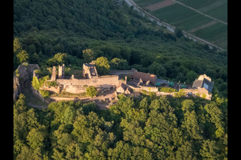 Burgruine Madenburg aus Westen in Eschbach im Bundesland Rheinland-Pfalz, Deutschland aus der Luft