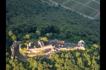 Burgruine Madenburg aus Westen in Eschbach im Bundesland Rheinland-Pfalz, Deutschland von oben gesehen