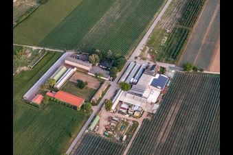 Zapf Hofmarkt und Holderbühler Hof mit Uwe Nauerth - Tabak Produktion in Kandel im Bundesland Rheinland-Pfalz, Deutschland