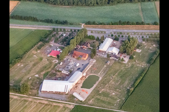 Fussballgolfpark Südpfalz und Adamshof Kandel im Bundesland Rheinland-Pfalz, Deutschland